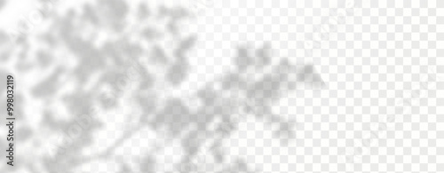 Abstract shadow of leaves and branches on white concrete wall.Soft overlay of natural light.Tropical blurred leaf.Natural light layout.