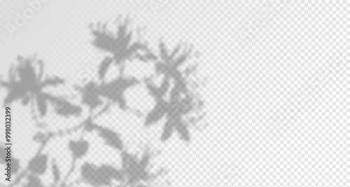 Abstract shadow of leaves and branches on white concrete wall.Soft overlay of natural light.Tropical blurred leaf.Natural light layout.