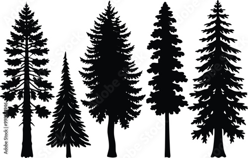 Silhouettes of different kind of redwood trees stock illustration.