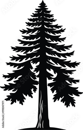 Natural silhouette of a redwood tree or tree pine silhouette vector logo. template tree isolated