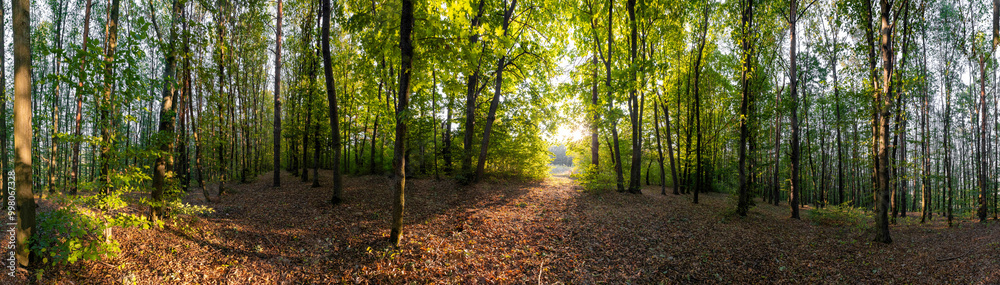 The 360-degree panorama of nature in a day The 360-degree panorama of nature in a day