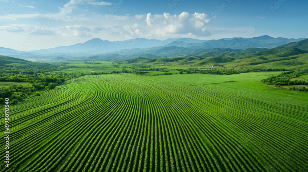 Agricultural monocultures spreading across continents from space endless rows of crops replacing diverse landscapes Agricultural monocultures spreading across continents from space endless rows of crops replacing diverse landscapes
