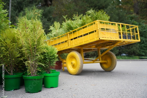 A trolley trailer with pots of garden plants . The garden show.