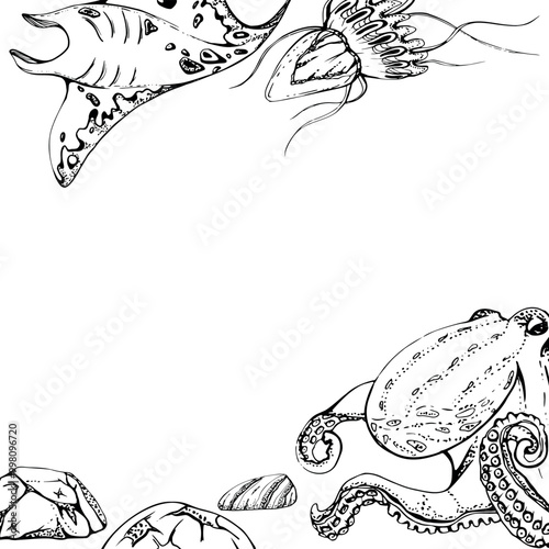 Manta ray jellyfish octopus Marine life, sea ocean underwater creatures, Ink and pen sketch hand drawn. Border frame illustration stylized, isolated on white. For zoo shop, aquarium, cosmetics, resort
