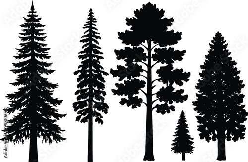 Silhouettes of different kind of Sequoia trees stock illustration.