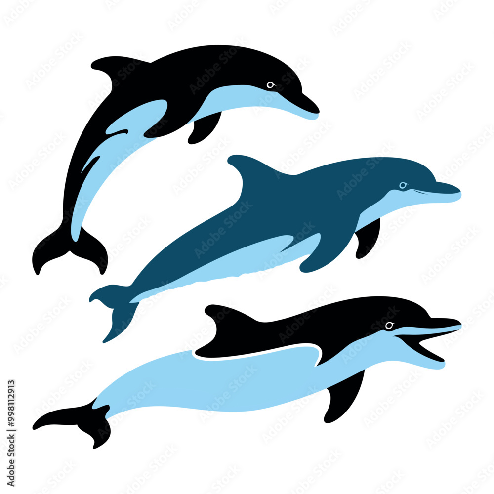 Fototapeta premium two dolphins jumping