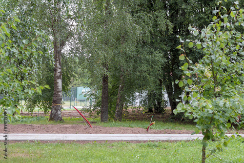 
renovation work in a park with trees photo