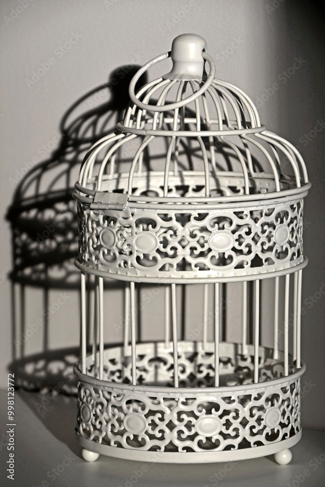 dekoracyjna klatka, ozdobna klatka w promieniach słońca, decorative cage