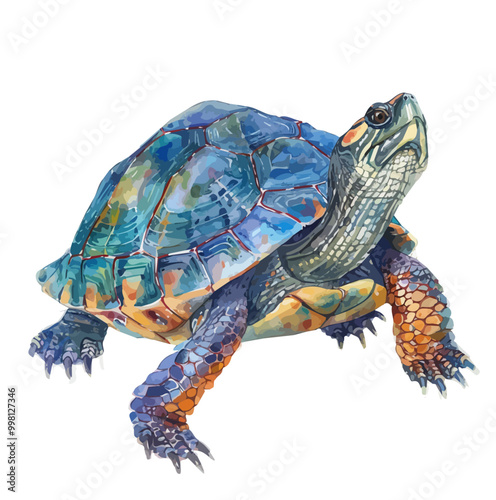 Watercolor of Turtle, isolated on a white background, and Turtle vector