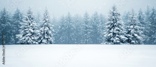 Snow-covered trees in a serene winter landscape, creating a peaceful and tranquil atmosphere.