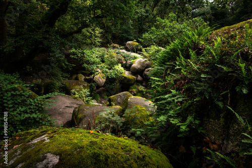 Foret de Huelgoat Finistère bretagne