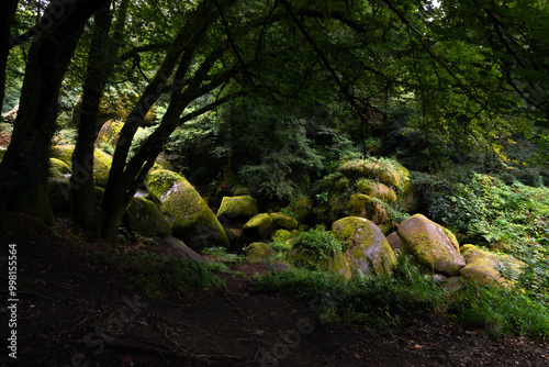 Foret de Huelgoat Finistère bretagne