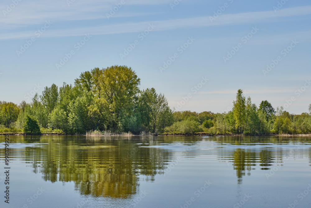 Serene landscape featuring calm water reflecting lush green trees along shoreline against blue sky Serene landscape featuring calm water reflecting lush green trees along shoreline against blue sky