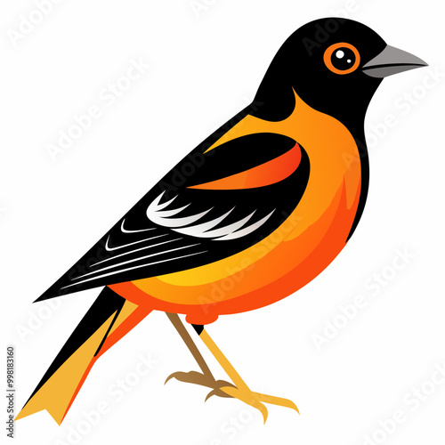 An Oriole Vector illustration on a white background