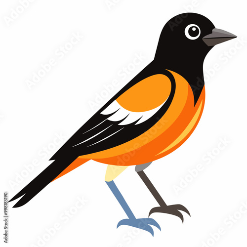 An Oriole Vector illustration on a white background