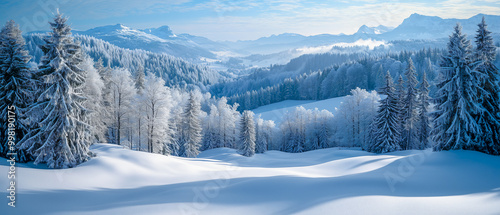 A stunning view of the mountains in winter, with snow-covered hills and dense lush green forests. The sky is bright blue