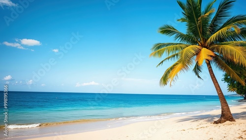 A serene tropical beach scene features a tall palm tree on the left, a calm ocean on the right, and a clear blue sky above, creating a tranquil and picturesque atmosphere