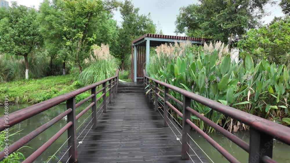 Walking on a peaceful wooden bridge or footpath surrounded by wetlands lush greenery, leading to a pavilion or gazebo in a park, providing rest and shelter for the public. Yinzhou Park, Ningbo, China Walking on a peaceful wooden bridge or footpath surrounded by wetlands lush greenery, leading to a pavilion or gazebo in a park, providing rest and shelter for the public. Yinzhou Park, Ningbo, China