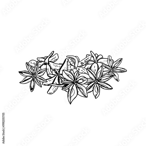 Star Anise seed heap botanical hand drawn vector isolated illustration. Etching drawing of badian with delicate spicy aroma painted by black inks. For decoration of menu, spice store, Christmas drink