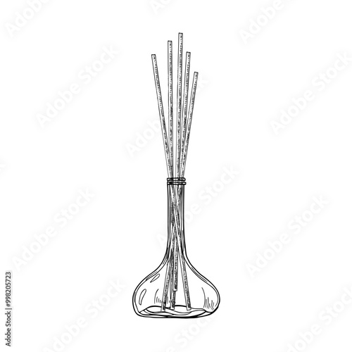 Aroma reed diffuser with scented sticks realistic isolated graphic sketch illustration. Spray bottle with essential organic perfume oil painted by black inks. For decor, spa salon design