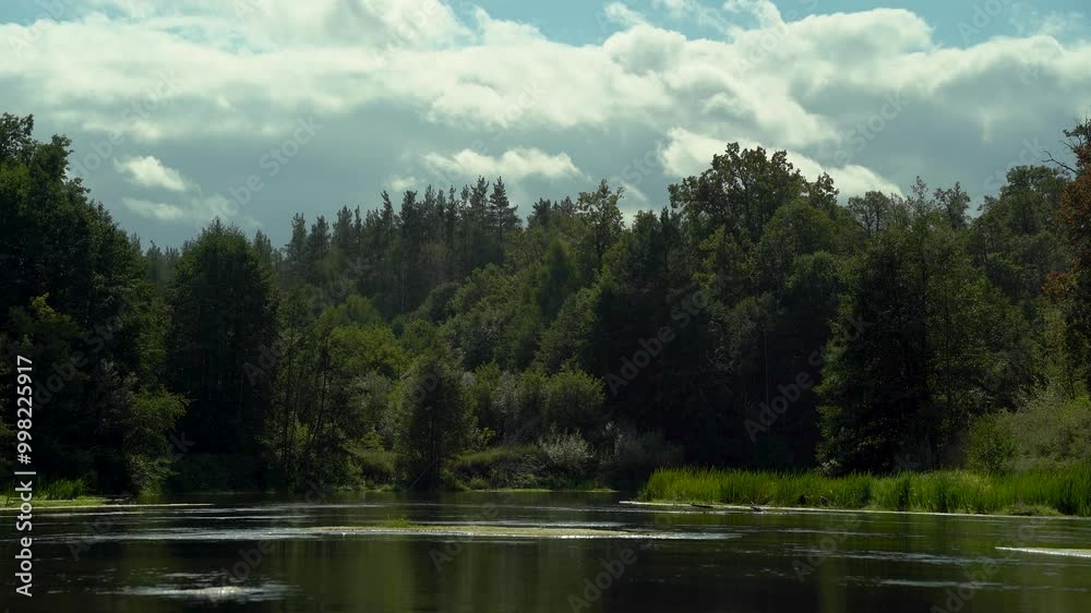 Forest river against the background of green forest and sky with clouds Forest river against the background of green forest and sky with clouds