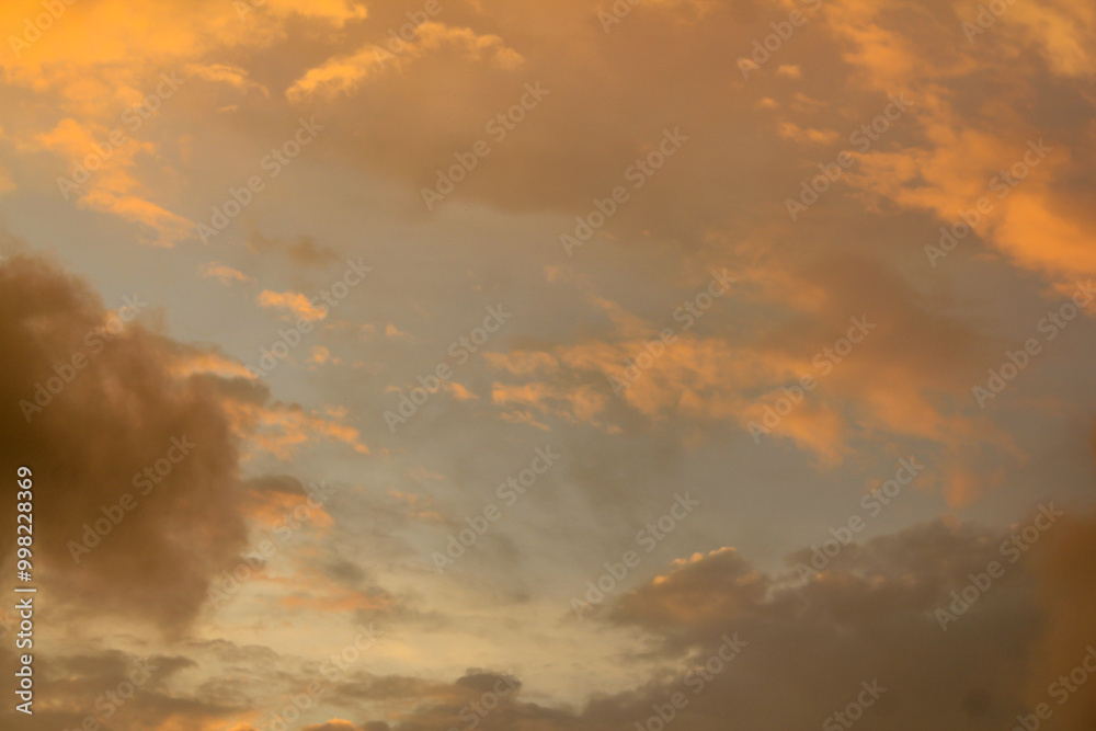 custom made wallpaper toronto digitalA stunning sunrise/sunset with vibrant orange hues, scattered clouds, and a silhouette of a leafless tree, creating a dramatic and serene scene.