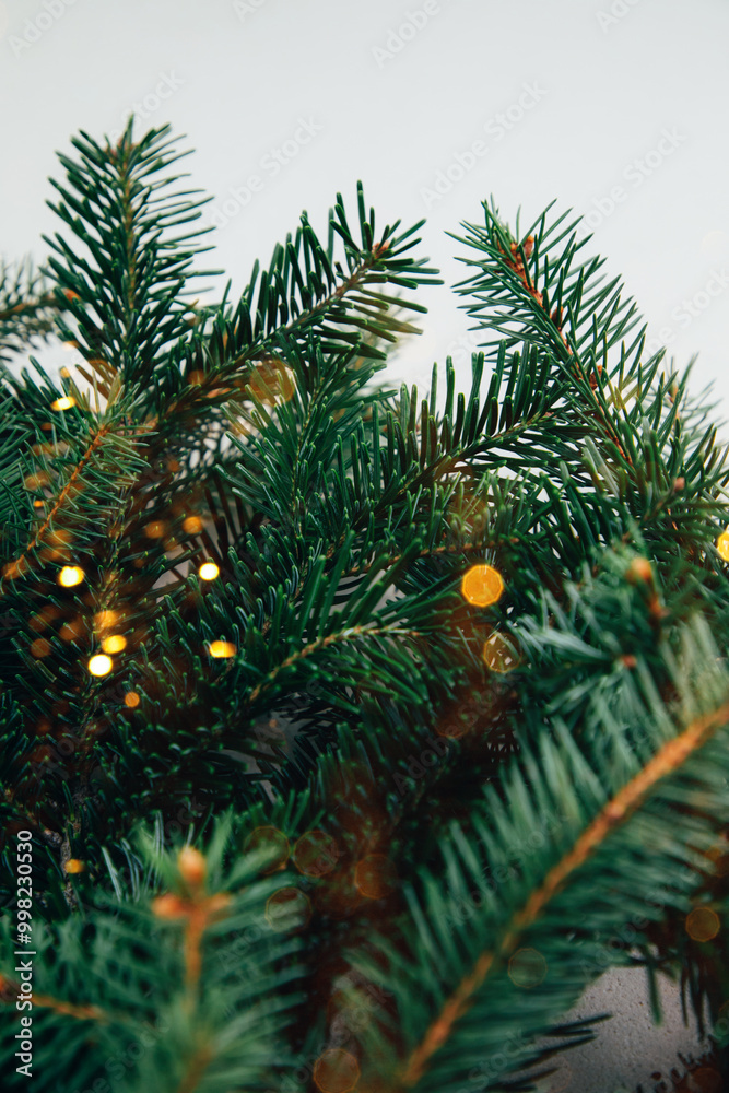 New Year, Christmas background. Branches of a green Christmas tree on a grey concrete background. Top view New Year, Christmas background. Branches of a green Christmas tree on a grey concrete background. Top view