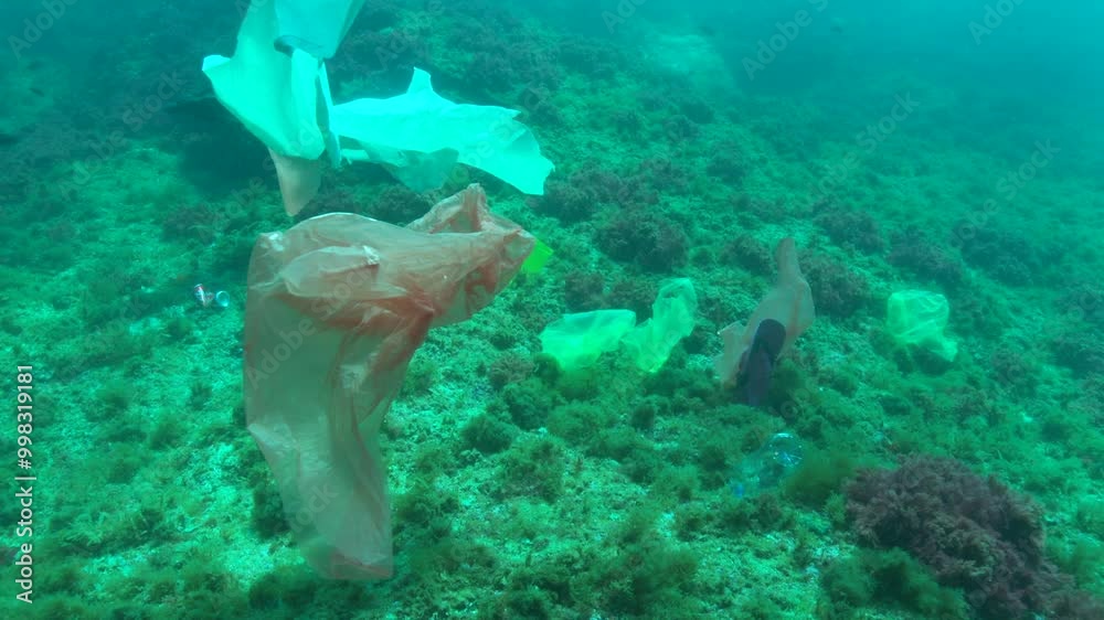 Descending from the surface to floating plastics mid-water and others littering the seabed in a Mediterranean reef environment with algae. Check my portfolio for more footage. Descending from the surface to floating plastics mid-water and others littering the seabed in a Mediterranean reef environment with algae. Check my portfolio for more footage.