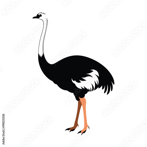 a ostrich flat design vector silhouette, isolated on white background