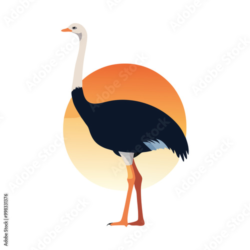 a ostrich flat design vector silhouette, isolated on white background
