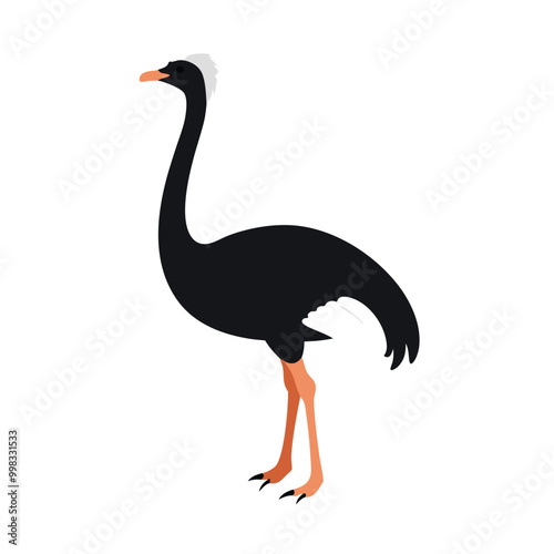 a ostrich flat design vector silhouette, isolated on white background