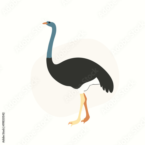 a ostrich flat design vector silhouette, isolated on white background