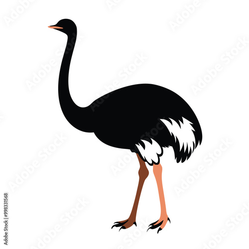 a ostrich flat design vector silhouette, isolated on white background