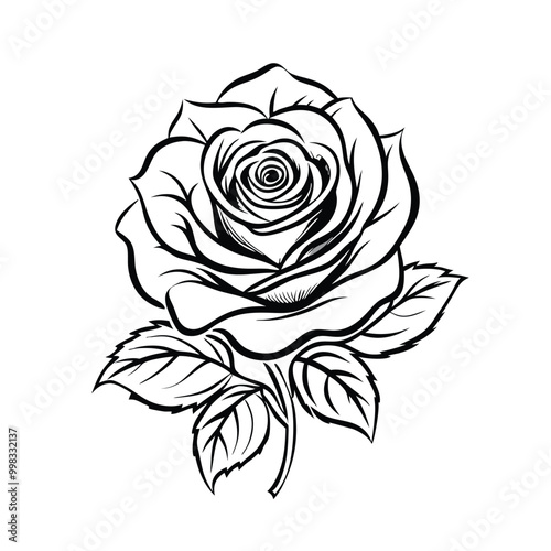 Wallpaper Mural a rose outline vector, isolated on white background  Torontodigital.ca