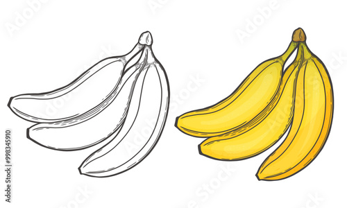 Banana's sketch. Banana vintage doodle icons. Vector illustration