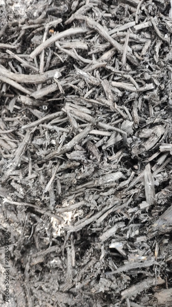 crumpled crumpled