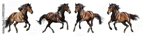 Dynamic Collection of Galloping Horses on White Background