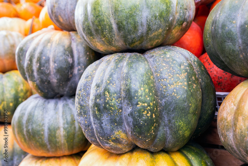 Pumpkins of various types at a farmers market stall, showcasing organic produce and a bountiful harvest