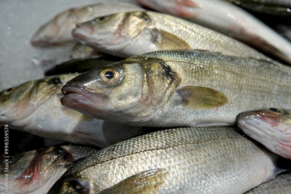 Des petits bars d'élevage sur l'étalage d'une poissonnerie Des petits bars d'élevage sur l'étalage d'une poissonnerie