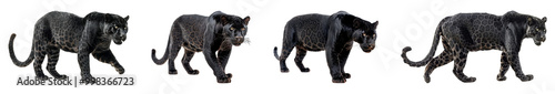 Elegant Black Panther Silhouettes in Motion Isolated on Transparent Background