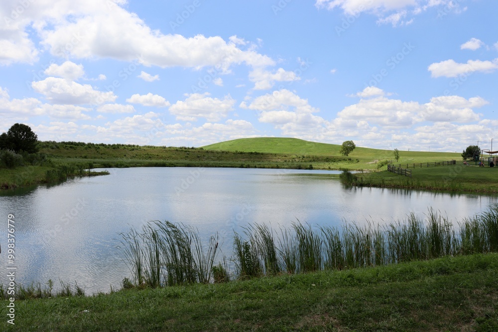 The quiet pond in the countryside on a sunny day. The quiet pond in the countryside on a sunny day.