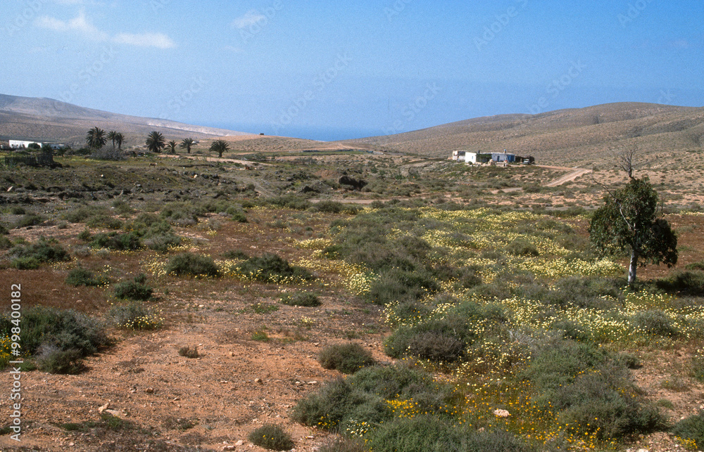 Ile de Lobos, parc natural de Corralejo, Ile de Fuerteventura, Iles Canaries, Espagne Ile de Lobos, parc natural de Corralejo, Ile de Fuerteventura, Iles Canaries, Espagne