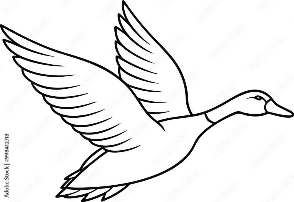 Obraz premium Soaring Duck Wings Vector Art Perfect for Creative Coloring 
