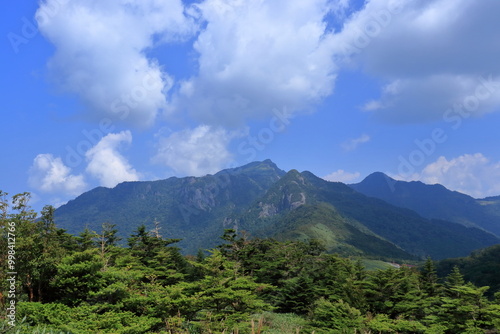 四国伊吹山からの景観 夏 （高知県 伊吹山登山道より）