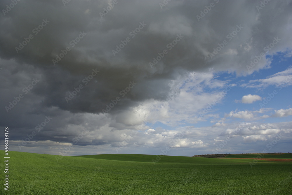 Paisaje de campos de sembrado, agricultura y cielo de tormenta Paisaje de campos de sembrado, agricultura y cielo de tormenta