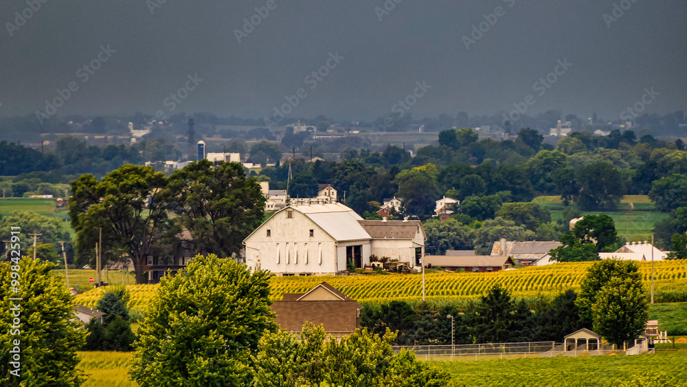 The setting showcases a charming white farmhouse nestled among vibrant cornfields under a cloudy sky, creating a tranquil rural atmosphere during the evening. The setting showcases a charming white farmhouse nestled among vibrant cornfields under a cloudy sky, creating a tranquil rural atmosphere during the evening.