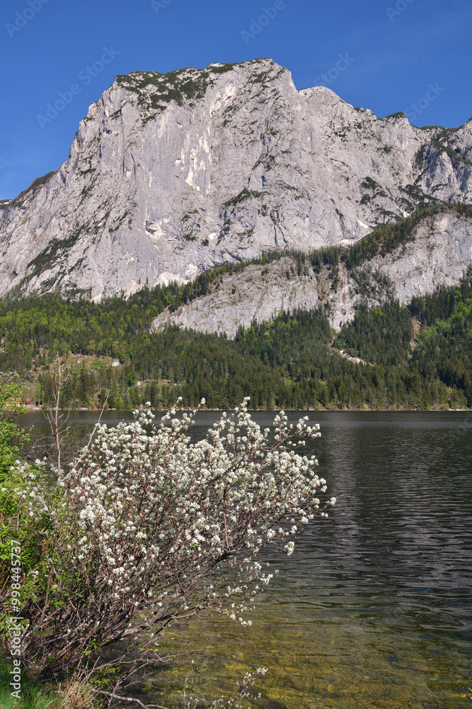 Altausseer See mit Trisselwand