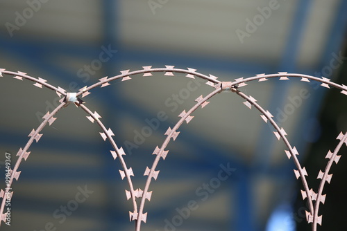 close up barbed wire fence. Razor wire. 	 photo