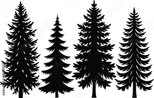 Silhouettes of different kind of Spruce trees stock illustration.