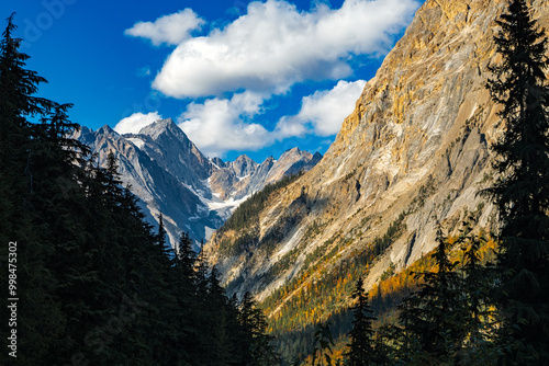 Sunlight illuminating rugged mountain peaks above a pine tree forest